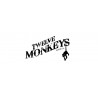 Twelve Monkeys